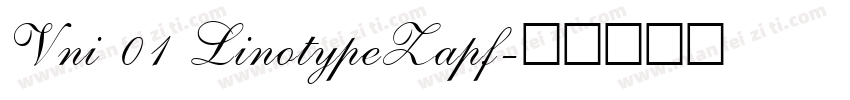 Vni 01 LinotypeZapf字体转换